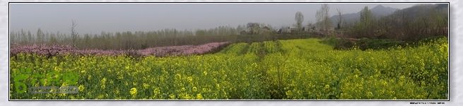 山前桃花梦nEO_IMG_nEO_IMG_DSC00790