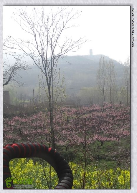 山前桃花梦nEO_IMG_nEO_IMG_DSC00803