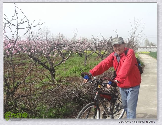 山前桃花梦nEO_IMG_nEO_IMG_DSC00820