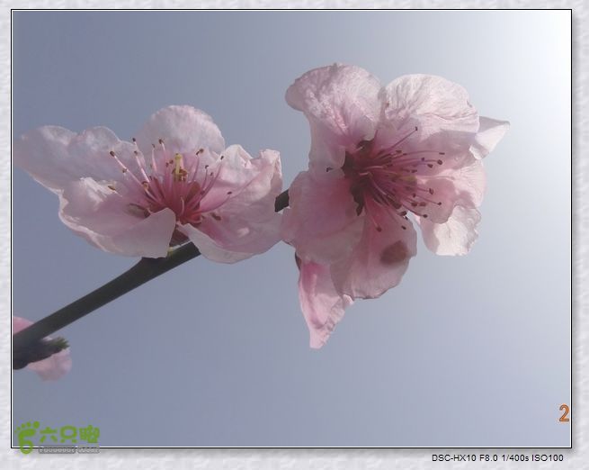 山前桃花梦nEO_IMG_nEO_IMG_DSC00835