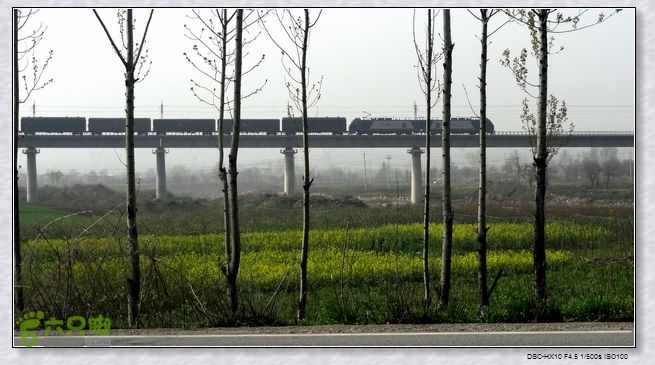 山前桃花梦nEO_IMG_nEO_IMG_DSC00852