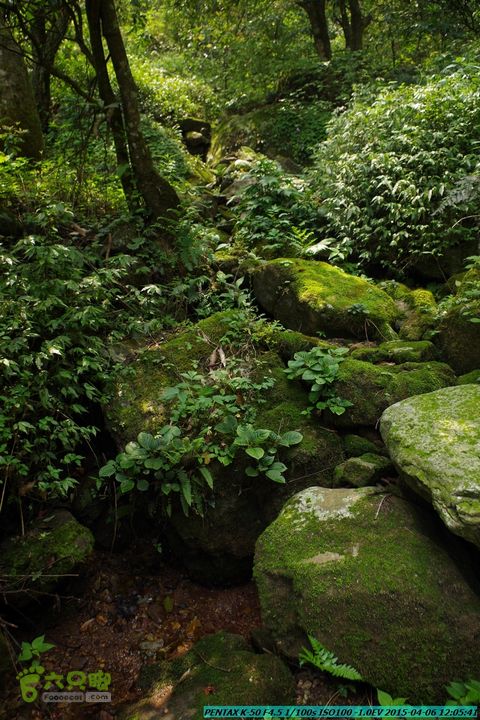 20150406-双河-葫芦顶（橄榄旋风俱乐部驴友户外）IMGP2990