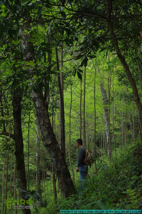 20150406-双河-葫芦顶（橄榄旋风俱乐部驴友户外）IMGP2992