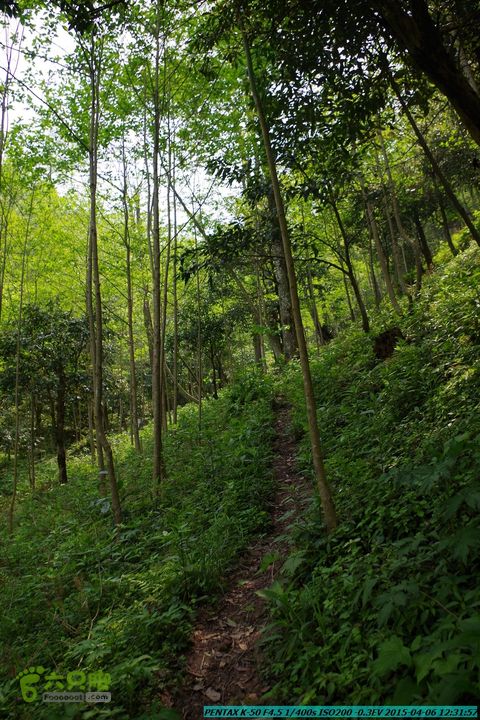 20150406-双河-葫芦顶（橄榄旋风俱乐部驴友户外）IMGP3004