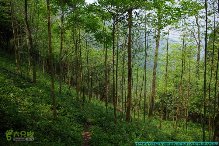 20150406-双河-葫芦顶（橄榄旋风俱乐部驴友户外）IMGP3007