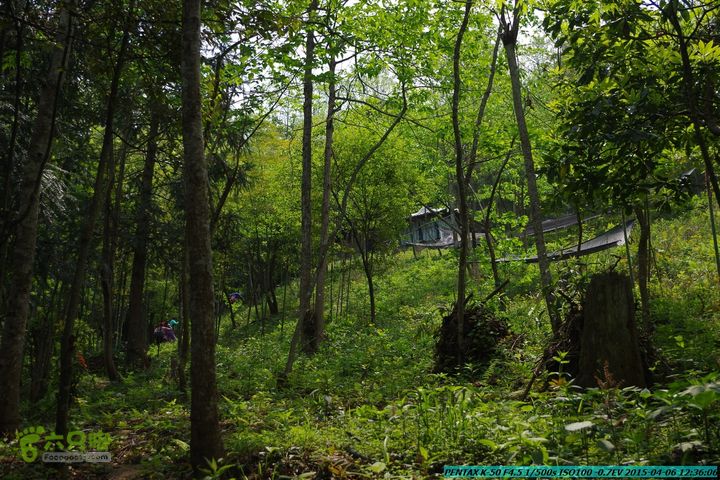 20150406-双河-葫芦顶（橄榄旋风俱乐部驴友户外）IMGP3014