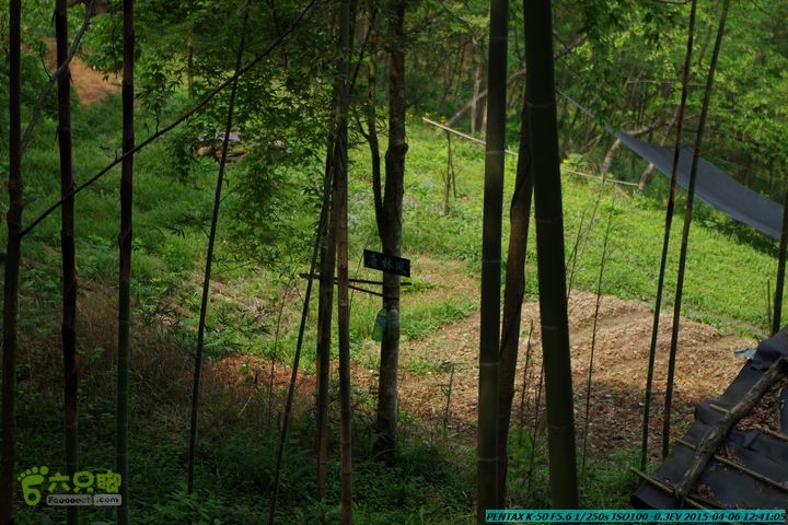 20150406-双河-葫芦顶（橄榄旋风俱乐部驴友户外）IMGP3028