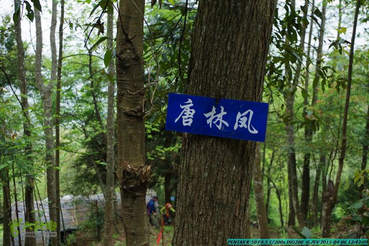 20150406-双河-葫芦顶（橄榄旋风俱乐部驴友户外）IMGP3032