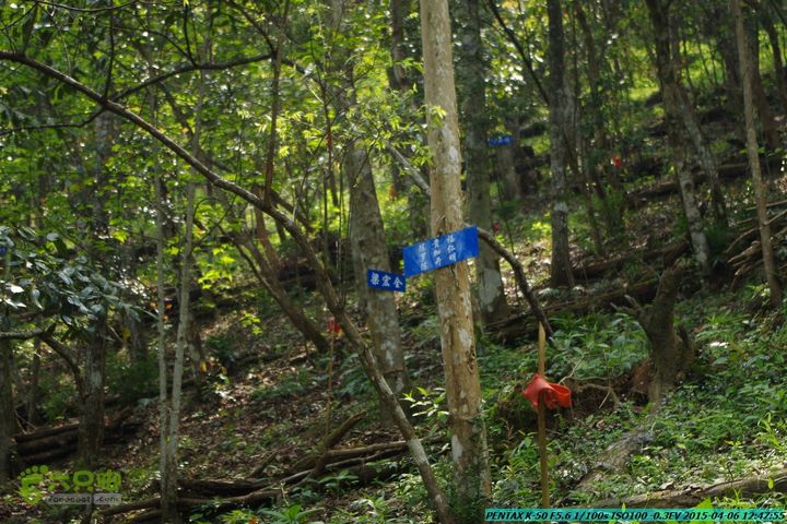20150406-双河-葫芦顶（橄榄旋风俱乐部驴友户外）IMGP3034