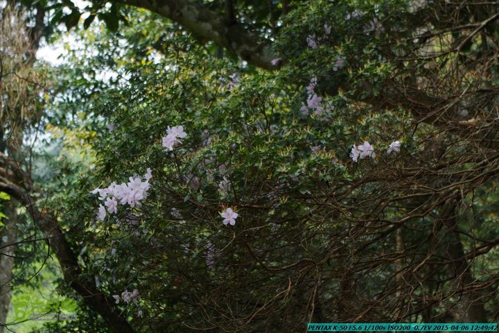 20150406-双河-葫芦顶（橄榄旋风俱乐部驴友户外）IMGP3038