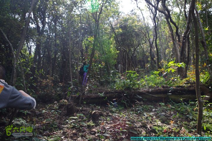 20150406-双河-葫芦顶（橄榄旋风俱乐部驴友户外）IMGP3044