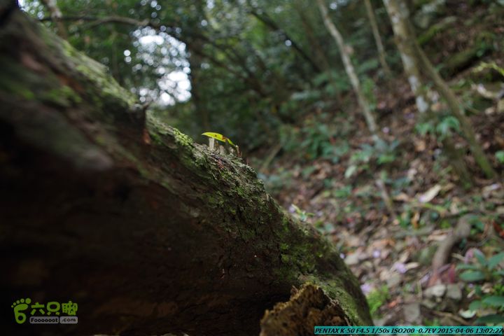 20150406-双河-葫芦顶（橄榄旋风俱乐部驴友户外）IMGP3050