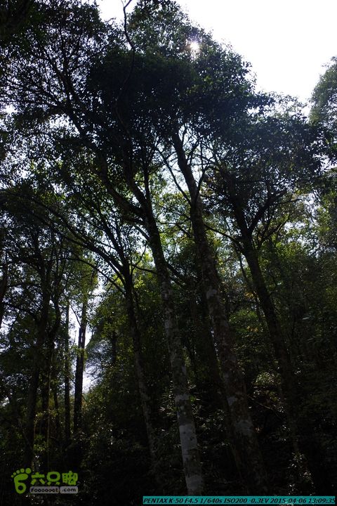 20150406-双河-葫芦顶（橄榄旋风俱乐部驴友户外）IMGP3067