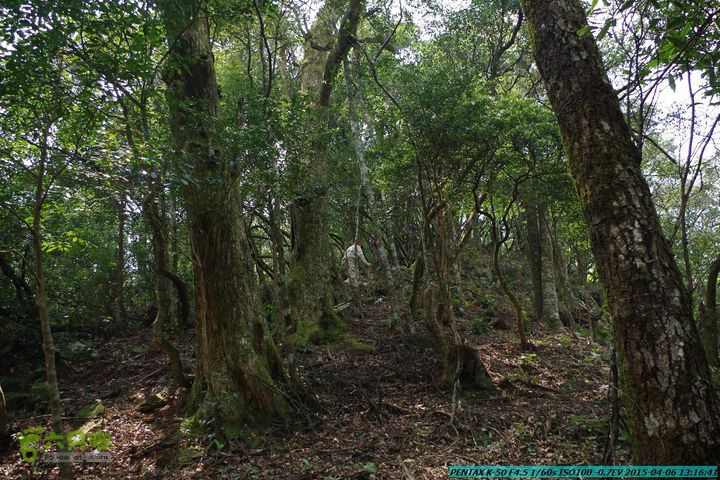 20150406-双河-葫芦顶（橄榄旋风俱乐部驴友户外）IMGP3077
