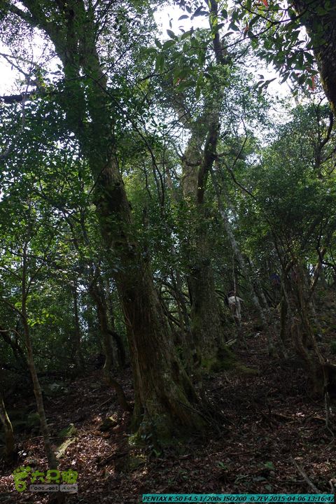 20150406-双河-葫芦顶（橄榄旋风俱乐部驴友户外）IMGP3080