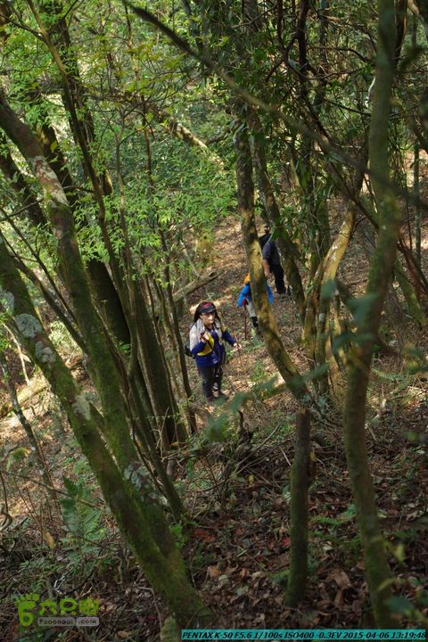 20150406-双河-葫芦顶（橄榄旋风俱乐部驴友户外）IMGP3085