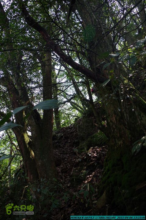 20150406-双河-葫芦顶（橄榄旋风俱乐部驴友户外）IMGP3094