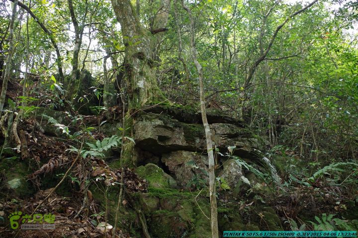 20150406-双河-葫芦顶（橄榄旋风俱乐部驴友户外）IMGP3102