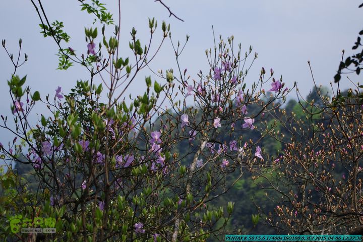 20150406-双河-葫芦顶（橄榄旋风俱乐部驴友户外）IMGP3106