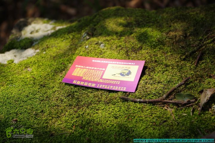 20150406-双河-葫芦顶（橄榄旋风俱乐部驴友户外）IMGP3109