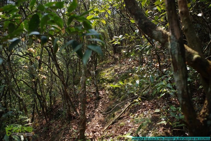 20150406-双河-葫芦顶（橄榄旋风俱乐部驴友户外）IMGP3111