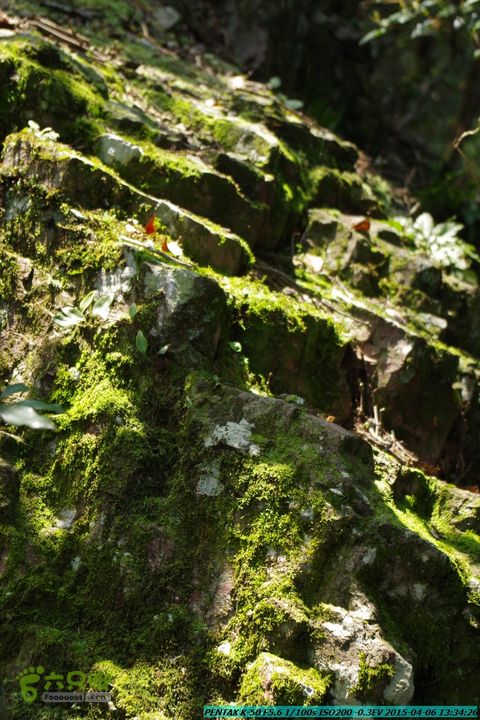 20150406-双河-葫芦顶（橄榄旋风俱乐部驴友户外）IMGP3116