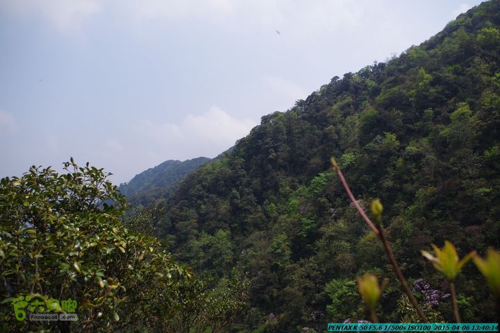 20150406-双河-葫芦顶（橄榄旋风俱乐部驴友户外）IMGP3118