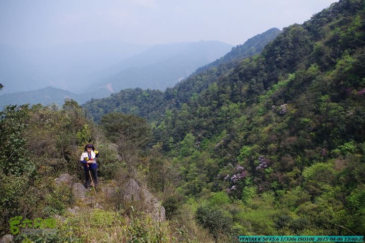 20150406-双河-葫芦顶（橄榄旋风俱乐部驴友户外）IMGP3129