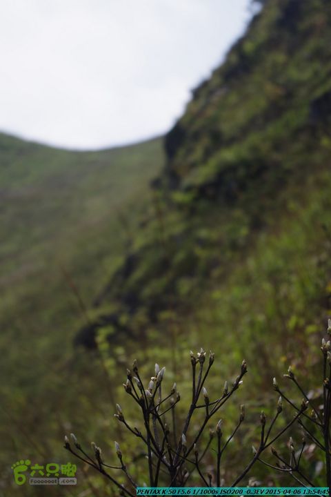 20150406-双河-葫芦顶（橄榄旋风俱乐部驴友户外）IMGP3151
