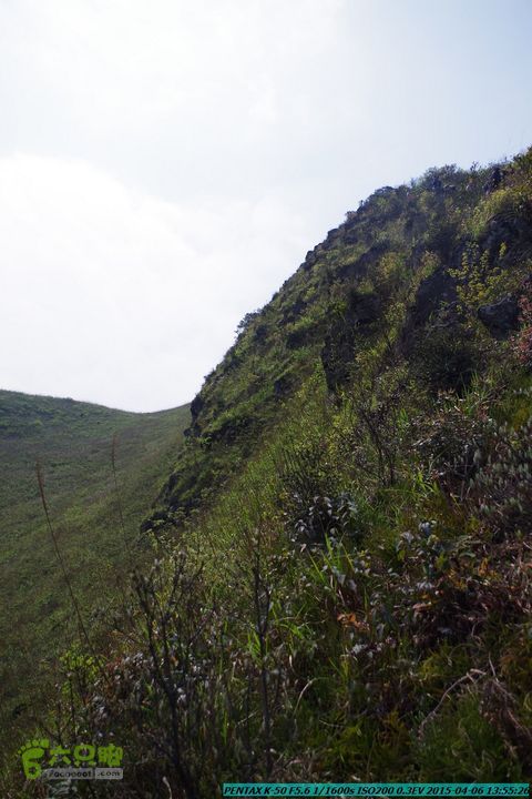 20150406-双河-葫芦顶（橄榄旋风俱乐部驴友户外）IMGP3158