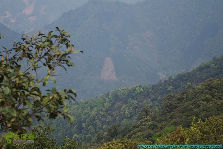 20150406-双河-葫芦顶（橄榄旋风俱乐部驴友户外）IMGP3180