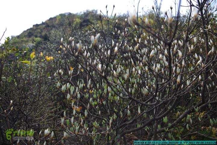 20150406-双河-葫芦顶（橄榄旋风俱乐部驴友户外）IMGP3185
