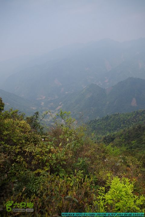 20150406-双河-葫芦顶（橄榄旋风俱乐部驴友户外）IMGP3191