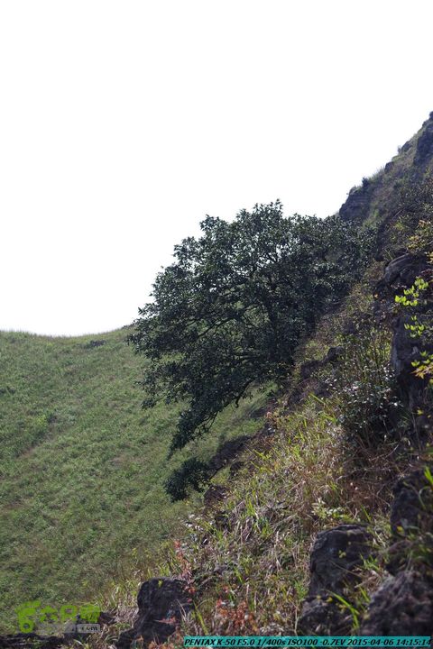 20150406-双河-葫芦顶（橄榄旋风俱乐部驴友户外）IMGP3209