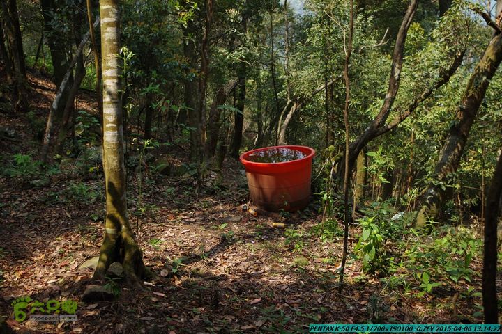 20150406-双河-葫芦顶（橄榄旋风俱乐部驴友户外）IMGP3074
