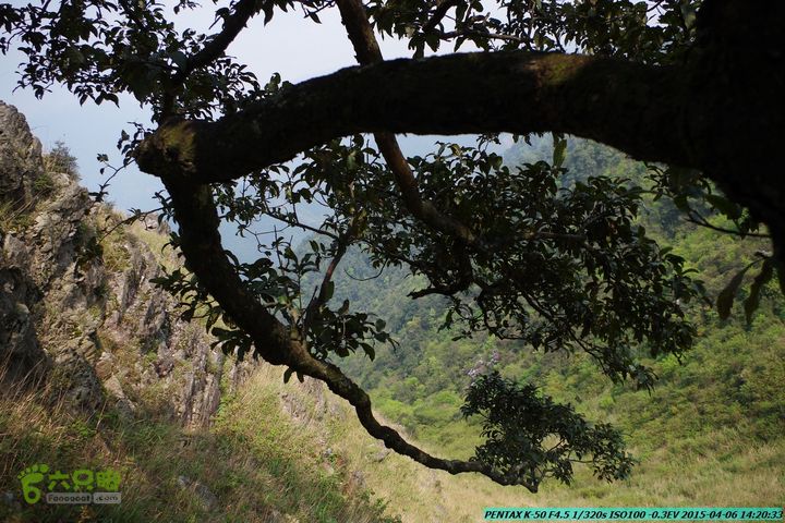 20150406-双河-葫芦顶（橄榄旋风俱乐部驴友户外）IMGP3220