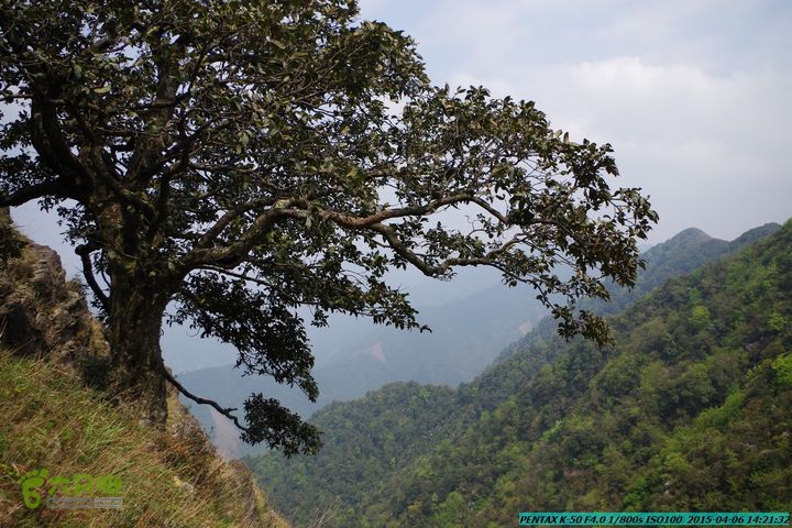 20150406-双河-葫芦顶（橄榄旋风俱乐部驴友户外）IMGP3225