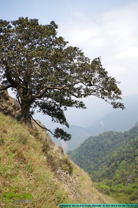 20150406-双河-葫芦顶（橄榄旋风俱乐部驴友户外）IMGP3236