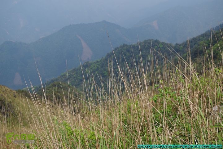 20150406-双河-葫芦顶（橄榄旋风俱乐部驴友户外）IMGP3245