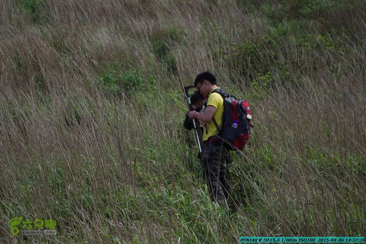 20150406-双河-葫芦顶（橄榄旋风俱乐部驴友户外）IMGP3255