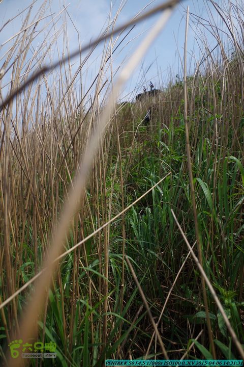 20150406-双河-葫芦顶（橄榄旋风俱乐部驴友户外）IMGP3258
