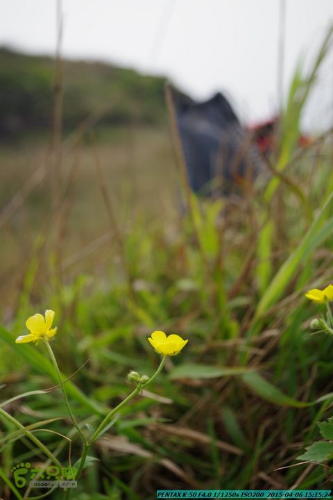 20150406-双河-葫芦顶（橄榄旋风俱乐部驴友户外）IMGP3364