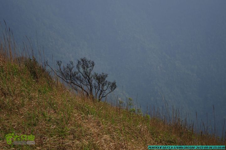 20150406-双河-葫芦顶（橄榄旋风俱乐部驴友户外）IMGP3373