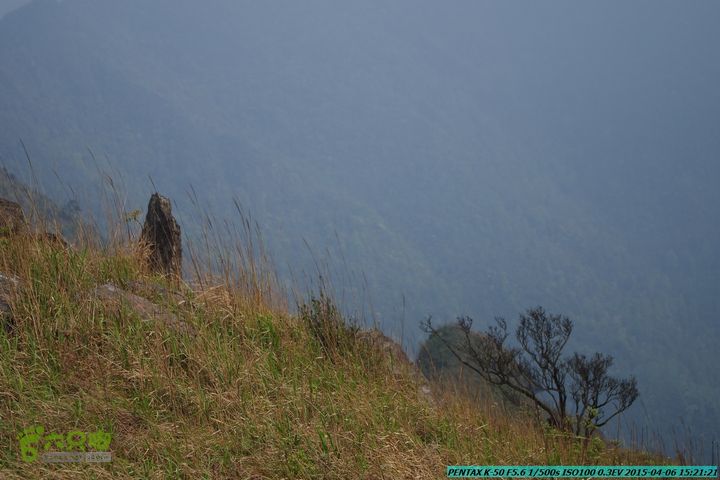 20150406-双河-葫芦顶（橄榄旋风俱乐部驴友户外）IMGP3388