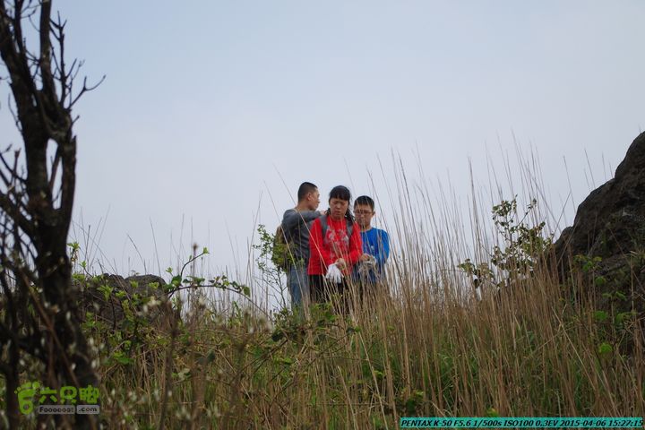 20150406-双河-葫芦顶（橄榄旋风俱乐部驴友户外）IMGP3410