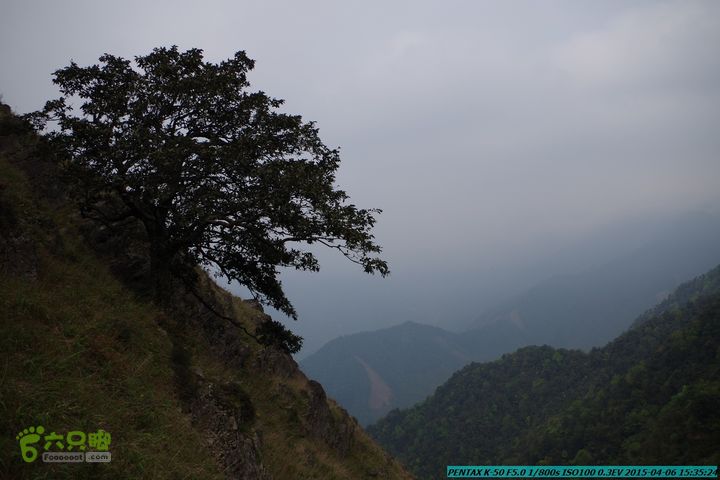 20150406-双河-葫芦顶（橄榄旋风俱乐部驴友户外）IMGP3422