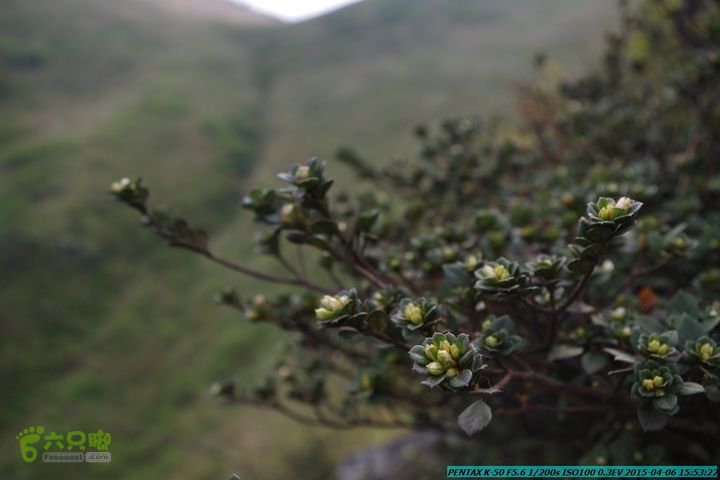 20150406-双河-葫芦顶（橄榄旋风俱乐部驴友户外）IMGP3466