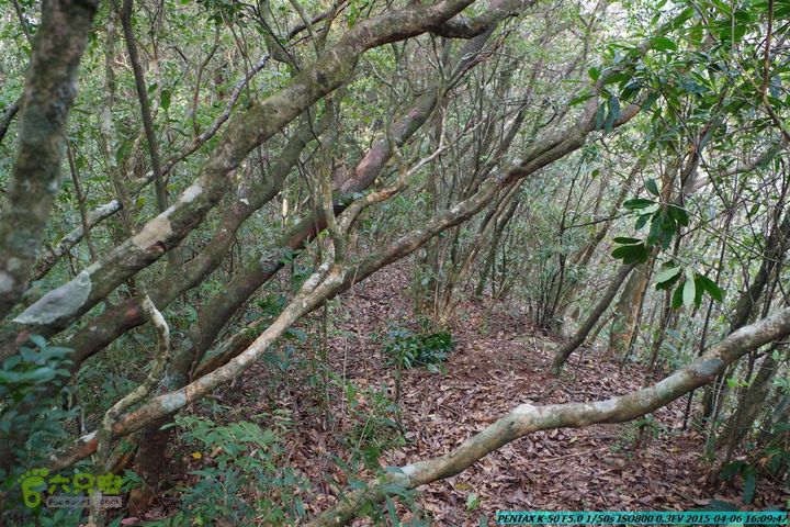 20150406-双河-葫芦顶（橄榄旋风俱乐部驴友户外）IMGP3472