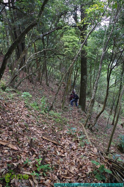 20150406-双河-葫芦顶（橄榄旋风俱乐部驴友户外）IMGP3481