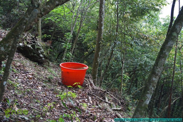 20150406-双河-葫芦顶（橄榄旋风俱乐部驴友户外）IMGP3484